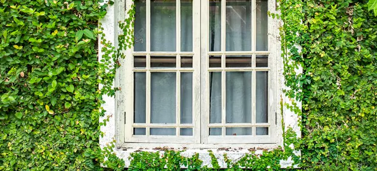 Garden Window Repair Near Me in Saratoga, CA