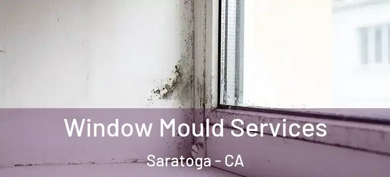  Window Mould Services Saratoga - CA